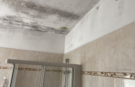 peinture intérieure